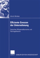 Ulrich Winkler - Effiziente Grenzen der Unternehmung