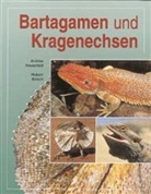 Bosch, Hubert Bosch, Andre Hauschild, Andree Hauschild, Hausschil - Bartagamen und Kragenechsen