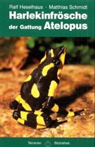 Ralf Heselhaus, Matthias Schmidt - Harlekinfrösche der Gattung Atelopus