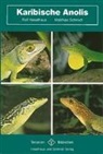 Ralf Haselhaus, Ralf Heselhaus, Matthias Schmidt - Karibische Anolis