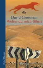 David Grossman - Wohin du mich führst