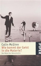 Colin Mcginn - Wie kommt der Geist in die Materie?