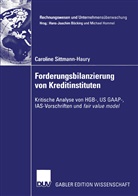 Caroline Sittmann-Haury - Forderungsbilanzierung von Kreditinstituten