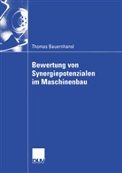 Thomas Bauernhansl - Bewertung von Synergiepotenzialen im Maschinenbau