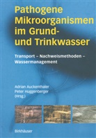 Adrian Auckenthaler, Peter Huggenberger, Adria Auckenthaler, Adrian Auckenthaler, Huggenberger, Huggenberger... - Pathogene Mikroorganismen im Grund- und Trinkwasser