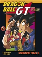 Akira Toriyama - Dragon Ball GT - Bd.3: Dragon Ball GT, Band 3