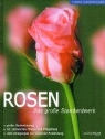 Rosen