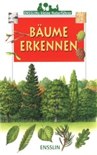 James Gourier - Bäume erkennen