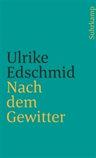 Ulrike Edschmid - Nach dem Gewitter