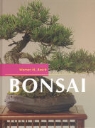 Werner M. Busch - Bonsai