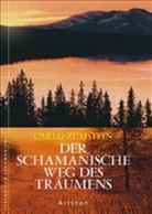 Carlo Zumstein - Der schamanische Weg des Träumens
