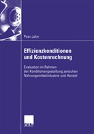 Peer John - Effizienzkonditionen und Kostenrechnung