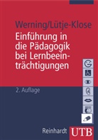 Birgit Lütje-Klose, Rolf Werning - Pädagogik bei Lernbeeinträchtigungen