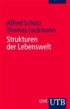 Thomas Luckmann, Alfre Schütz, Alfred Schütz - Strukturen der Lebenswelt