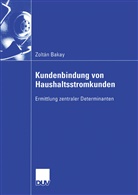 Zoltan Bakay - Kundenbindung von Haushaltsstromkunden