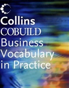 Sue Robbins - Business Vocabulary in Practice