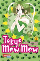 Ikumi, Mia Ikumi, Yoshid, Reik Yoshida, Reiko Yoshida - Tokyo Mew Mew. Bd.3