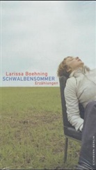 Larissa Boehning - Schwalbensommer