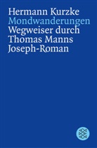 Hermann Kurzke, Hermann (Prof. Dr. phil.) Kurzke - Mondwanderungen