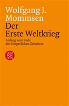Wolfgang J Mommsen, Wolfgang J. Mommsen - Der Erste Weltkrieg