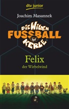 Joachim Masannek, Jan Birck - Die Wilden Fussballkerle - Bd. 2: Die Wilden Fußballkerle - Felix der Wirbelwind (Band 2)