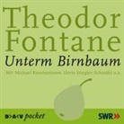 Theodor Fontane, Michael Konstantinow, Michael Kostantinow, Herta Stiegler-Schmähl - Unterm Birnbaum, 1 Audio-CD (Audio book)