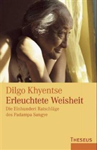 Dilgo Khyentse, Dilgo Khyentse Rinpoche - Erleuchtete Weisheit
