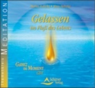 Klaus Holitzka, Marlies Holitzka - Gelassen im Fluß des Lebens, 1 Audio-CD (Hörbuch)