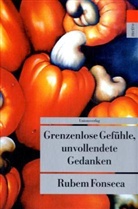 Rubem Fonseca - Grenzenlose Gefühle, unvollendete Gedanken