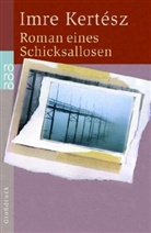 Imre Kertesz, Imre Kertész - Roman eines Schicksallosen