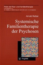 Arnold Retzer - Systemische Familientherapie der Psychosen