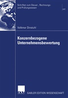 Volkmar Dinstuhl - Konzernbezogene Unternehmensbewertung