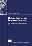 Holger Jörg Dürrfeld - Effiziente Steuerung von Konzerngesellschaften