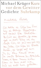 Michael Krüger - Kurz vor dem Gewitter