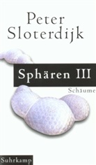Peter Sloterdijk - Sphären - 3: Schäume