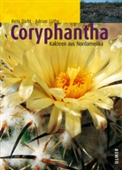 Reto Dicht, Reto F. Dicht, Adria Lüthy, Adrian Lüthy, Adrian D. Lüthy - Coryphantha