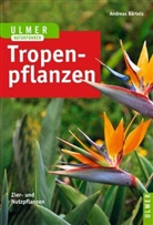 Andreas Bärtels - Tropenpflanzen