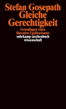 Stefan Gosepath - Gleiche Gerechtigkeit