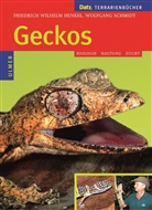 Friedrich Wilhel Henkel, Friedrich Wilhelm Henkel, Friedrich-Wilhelm Henkel, Wolfgang Schmidt - Geckos