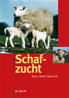 Knut Strittmatter - Schafzucht