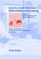 Falk Herrmann, Roland Heuermann - Unternehmensberatung - Anatomie und Perspektiven einer Dienstleistungselite