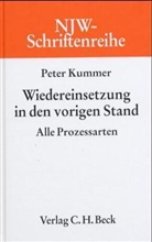 Peter Kummer - Wiedereinsetzung in den vorigen Stand