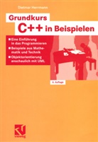 Dieter Herrmann, Dietmar Herrmann - Grundkurs C++ in Beispielen