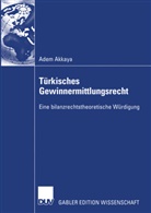 Adem Akkaya - Türkisches Gewinnermittlungsrecht