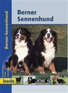 Louise Harper - Berner Sennenhund