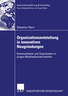 Sebastian Stern - Organisationsentstehung in innovativen Neugründungen