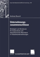 Andreas Bausch - Unternehmungszusammenschlüsse