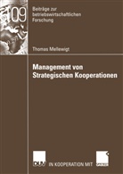 Thomas Mellewigt - Management von Strategischen Kooperationen