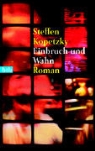 Steffen Kopetzky - Einbruch und Wahn