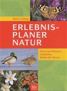 Mario Ludwig - Erlebnisplaner Natur